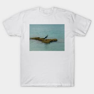 Vogue Nature T-Shirt